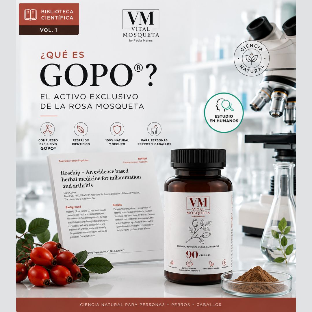 ¿Qué es GOPO®? El compuesto natural de la rosa mosqueta respaldado por la ciencia