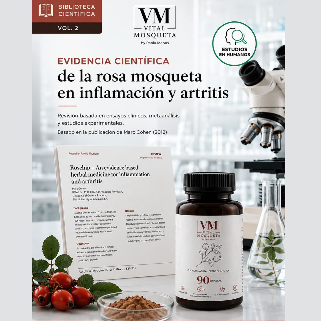 Evidencia científica de la rosa mosqueta en inflamación y artritis