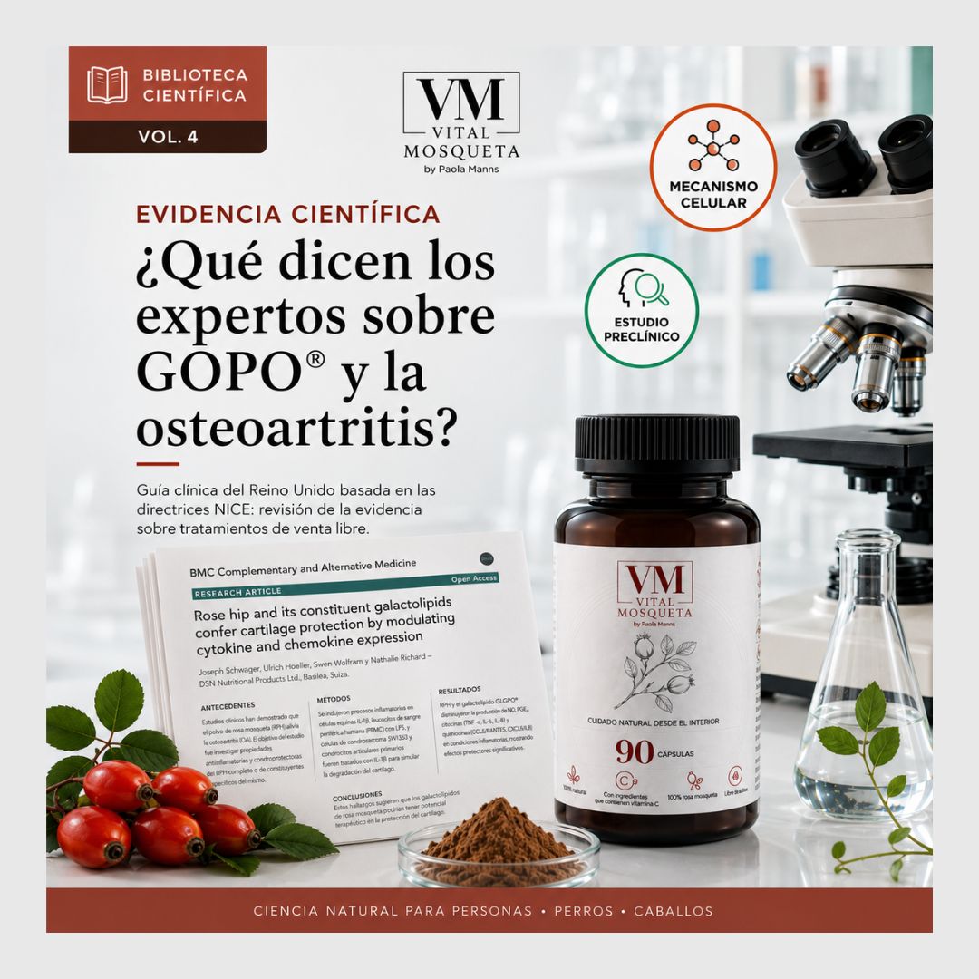 Guía Clínica del Reino Unido ¿Qué dicen los expertos sobre GOPO® y la osteoartritis?