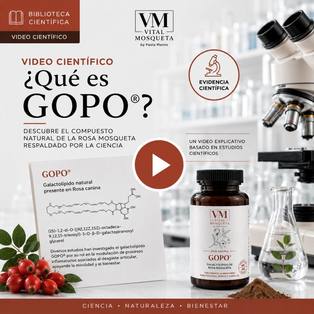 Qué es GOPO®?