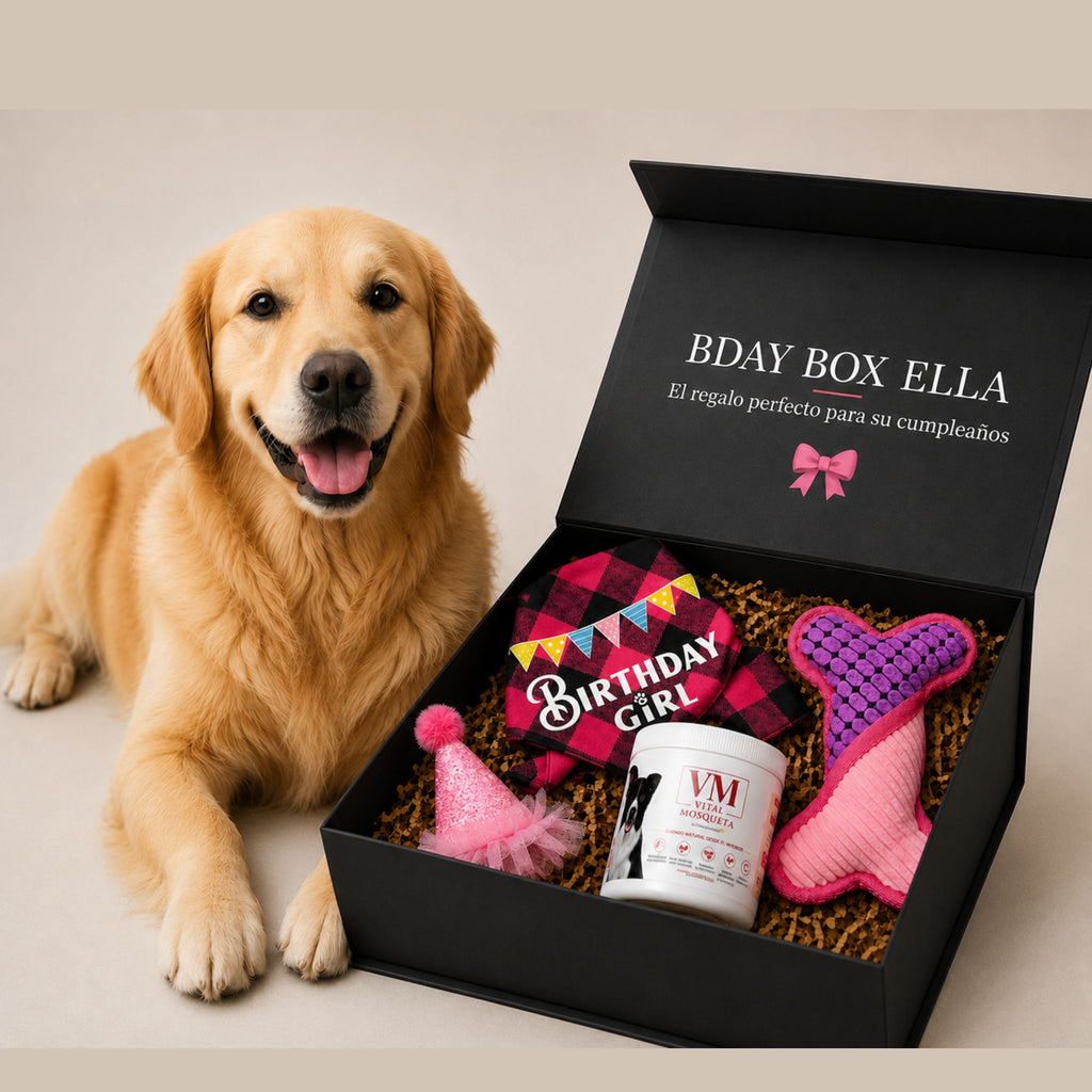 BDAY BOX – ELLA