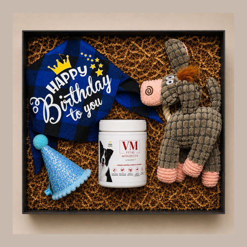 BDAY BOX – ÉL