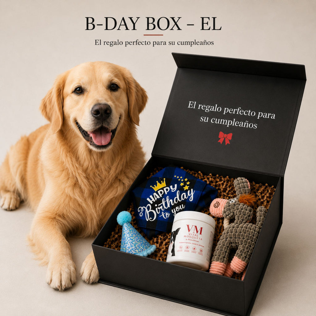 BDAY BOX – ÉL