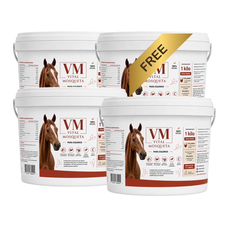 Mega pack Equino / Mega Pack rosa mosqueta equino 3x4 -  VitalMosqueta