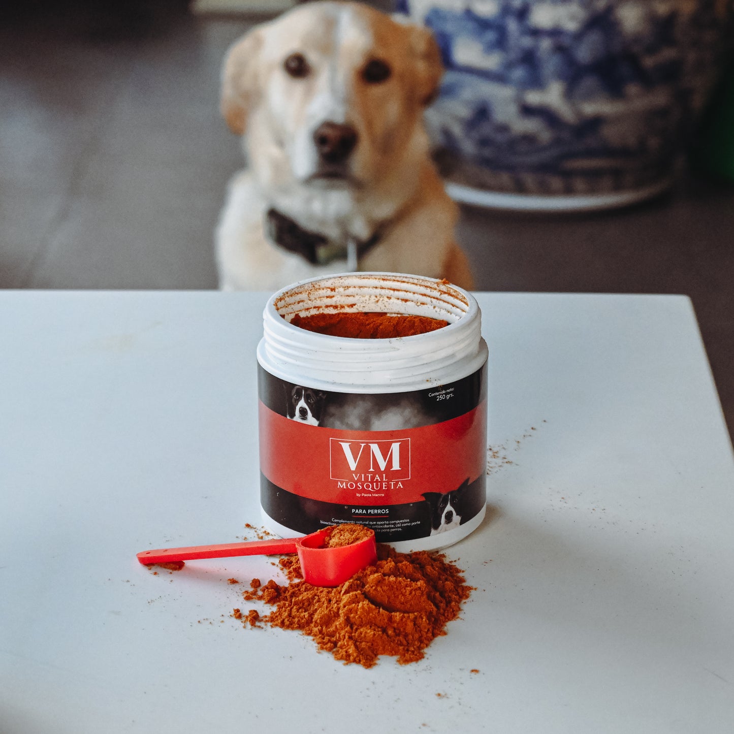 Rosa mosqueta para perros medianos y grandes 250 grs. | Pelaje y articulaciones | VitalMosqueta 🐶🌹