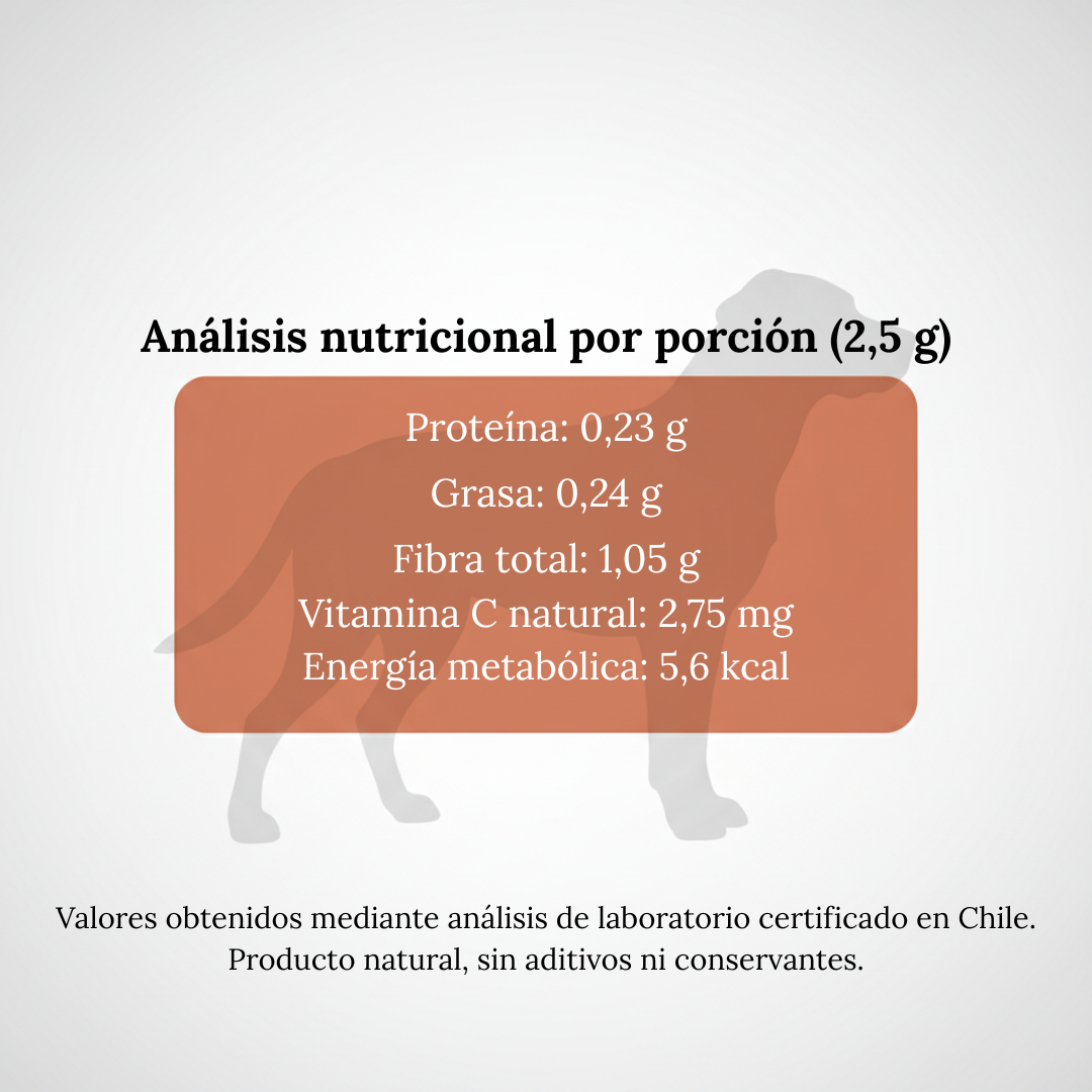 Rosa mosqueta para perros chicos , medianos y grandes 250 grs. | Pelaje y articulaciones | VitalMosqueta 🐶