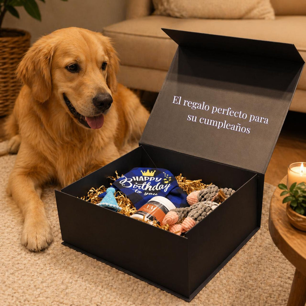 BDAY BOX – ÉL