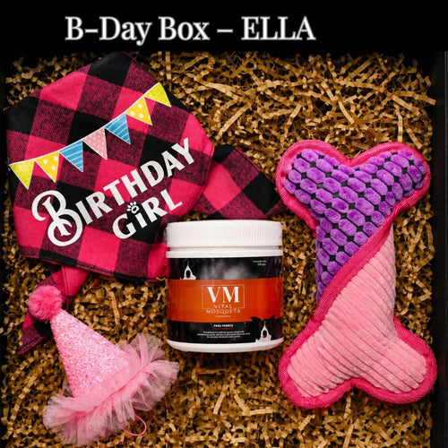 BDAY BOX – ELLA